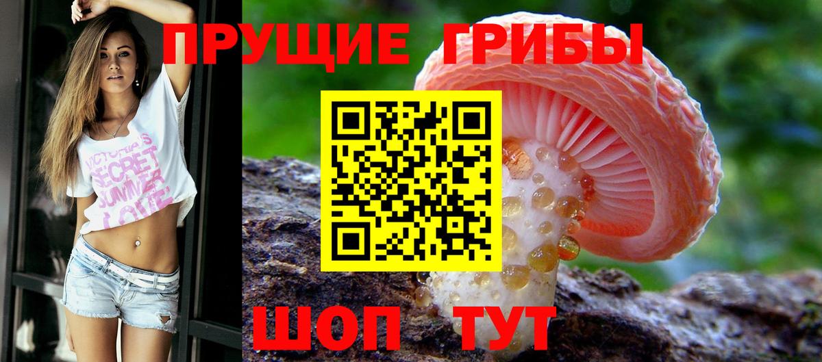 хочу наркоту  Галлюциногенные грибы Magic Shrooms  Вход с VPN  Рославль 